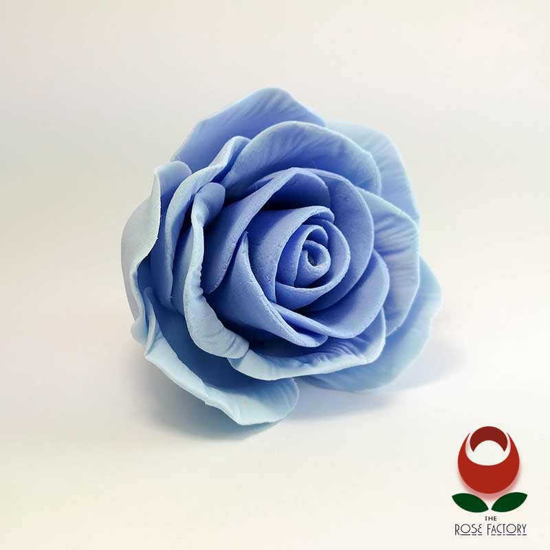 Purple Rose Flower – The Rose Factory