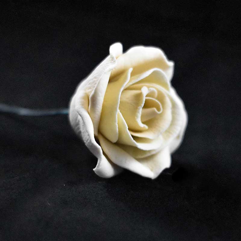 Ivory Rose Flower – The Rose Factory