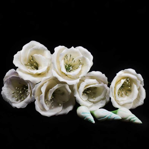 Buy Sugar Flower Sprays in New Zealand | Lisianthus Flower Bunch | Cake Decorating Supplies Auckland Online Store