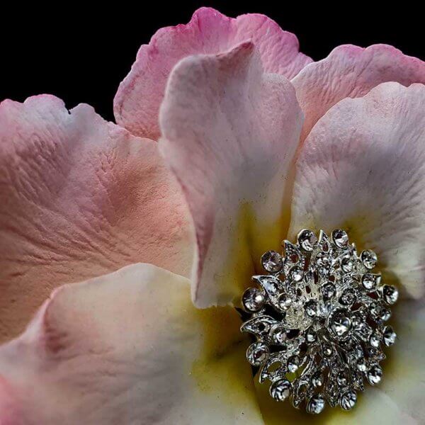 Large Fancy Gumpaste Icing Sugar Flower With a Broach In the Center from The Rose Factory - Wedding Cake Stuff New Zealand