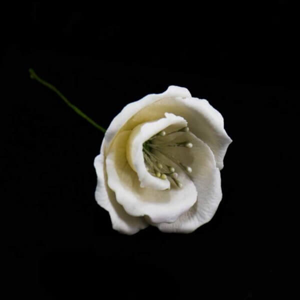 Lisianthus or Prairie Gentian or Eustoma gumpaste sugar flower from The Rose Factory - Cake Decorating Supplies Auckland New Zealand